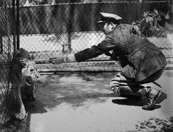  Colonel Roscoe Turner meets a young lion at Melbourne Zoo (State Library VIC) 